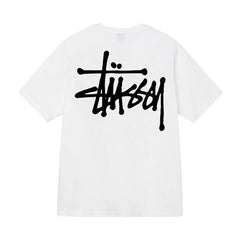 Quality of Foreign Trade 2025 New Stusey Short Sleeve T-shirt 270g Heavy Weight High Quality Men and Women (25)