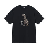 Quality of Foreign Trade 2025 New Stusey Short Sleeve T-shirt 270g Heavy Weight High Quality Men and Women (17)