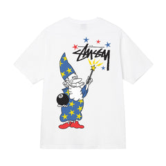 Quality of Foreign Trade 2025 New Stusey Short Sleeve T-shirt 270g Heavy Weight High Quality Men and Women (27)