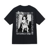 Quality of Foreign Trade 2025 New Stusey Short Sleeve T-shirt 270g Heavy Weight High Quality Men and Women (21)