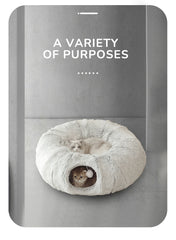 Cat Winter Donut Home