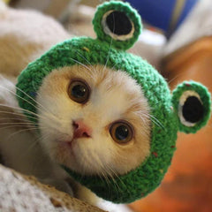 GlamPaw Cat Hat