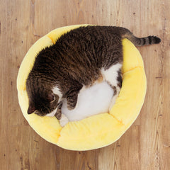 Summer Sun Cat Bed