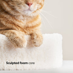 Kip Cat Bed