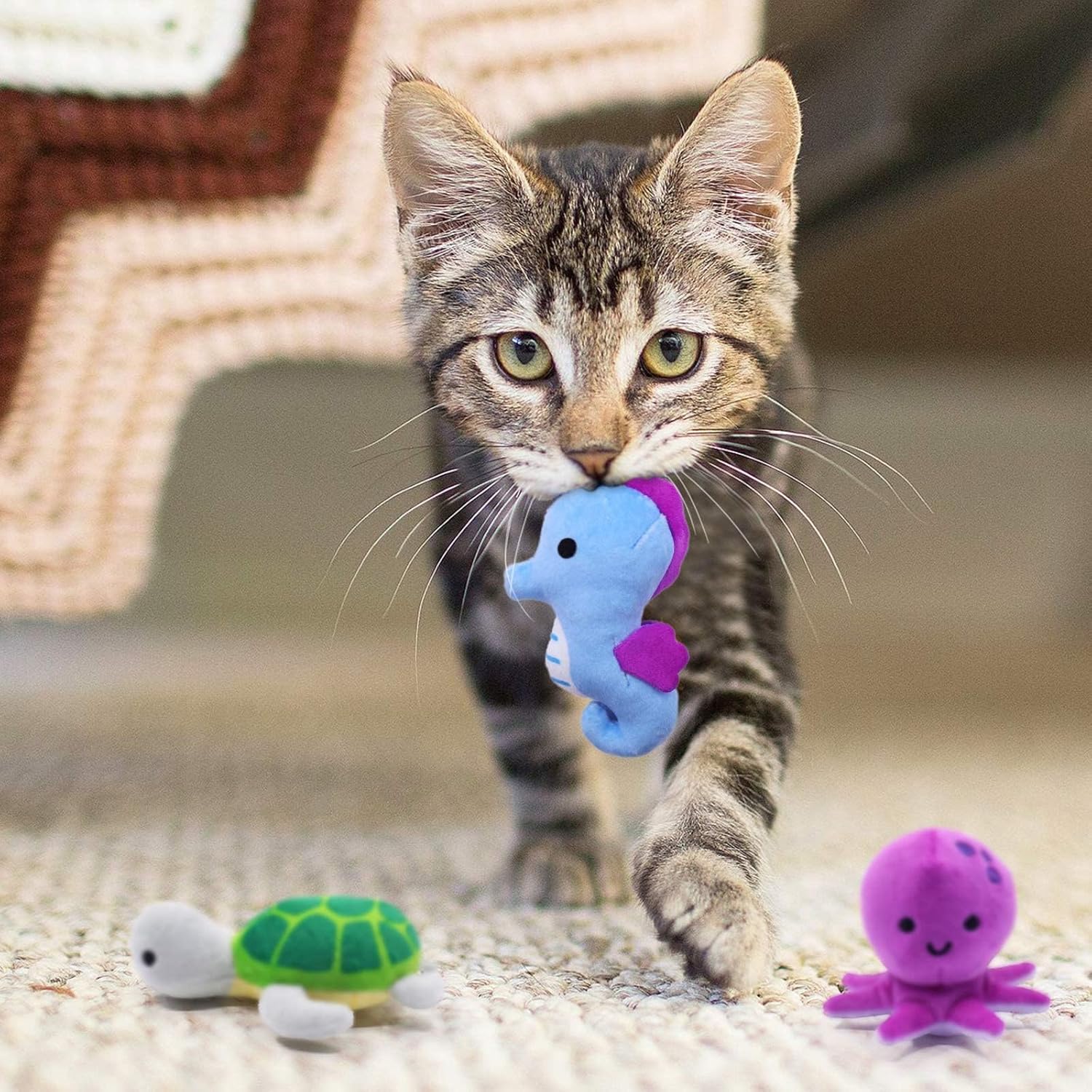 Catnip Plush Toys Set – 6-Piece Interactive Chew & Kick Toys for Indoor Cats and Kittens