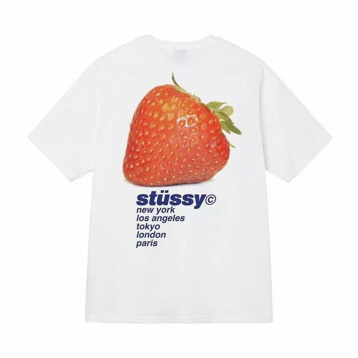 Quality of Foreign Trade 2025 New Stusey Short Sleeve T-shirt 270g Heavy Weight High Quality Men and Women (5)