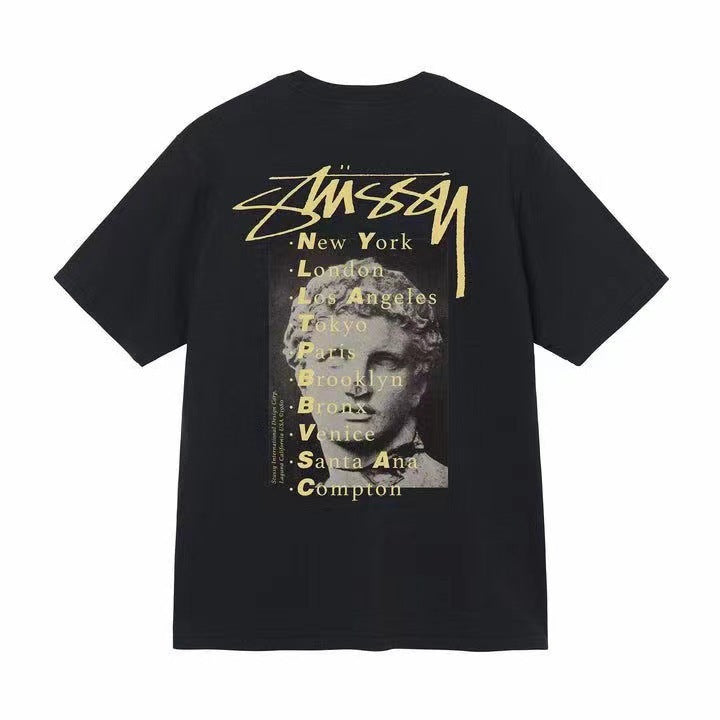 Quality of Foreign Trade 2025 New Stusey Short Sleeve T-shirt 270g Heavy Weight High Quality Men and Women (3)