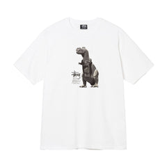 Quality of Foreign Trade 2025 New Stusey Short Sleeve T-shirt 270g Heavy Weight High Quality Men and Women (17)