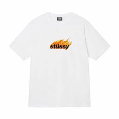 Quality of Foreign Trade 2025 New Stusey Short Sleeve T-shirt 270g Heavy Weight High Quality Men and Women (6)
