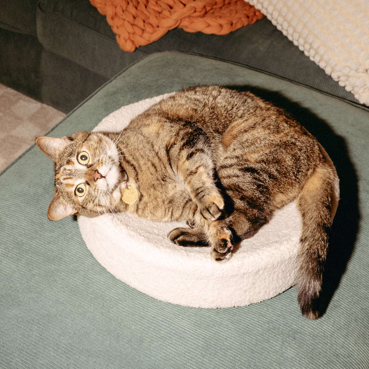 Kip Cat Bed