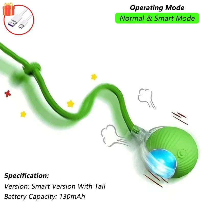 Cat Automatic Rolling Ball