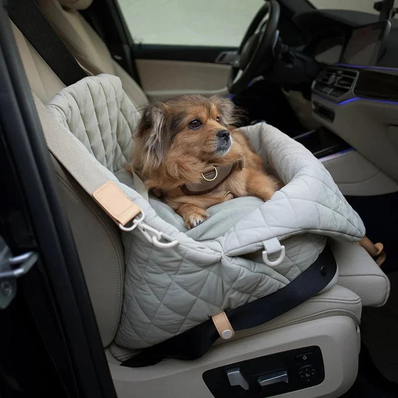 Cat Carrier Handbag and Luxury Car Seat