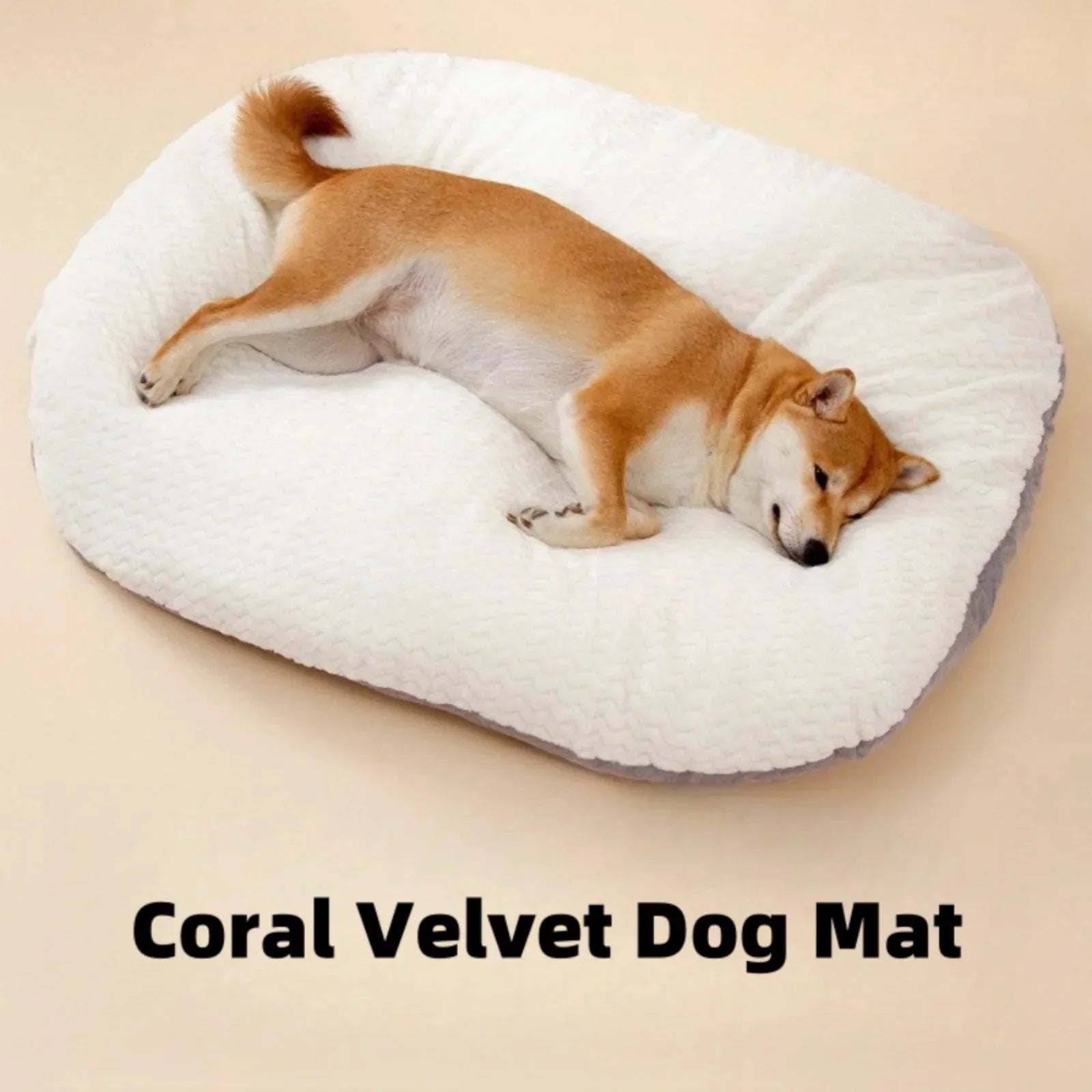 Dog Resting Cloud