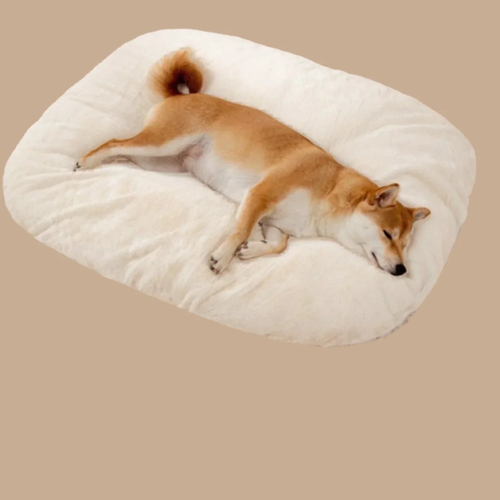 Dog Resting Cloud