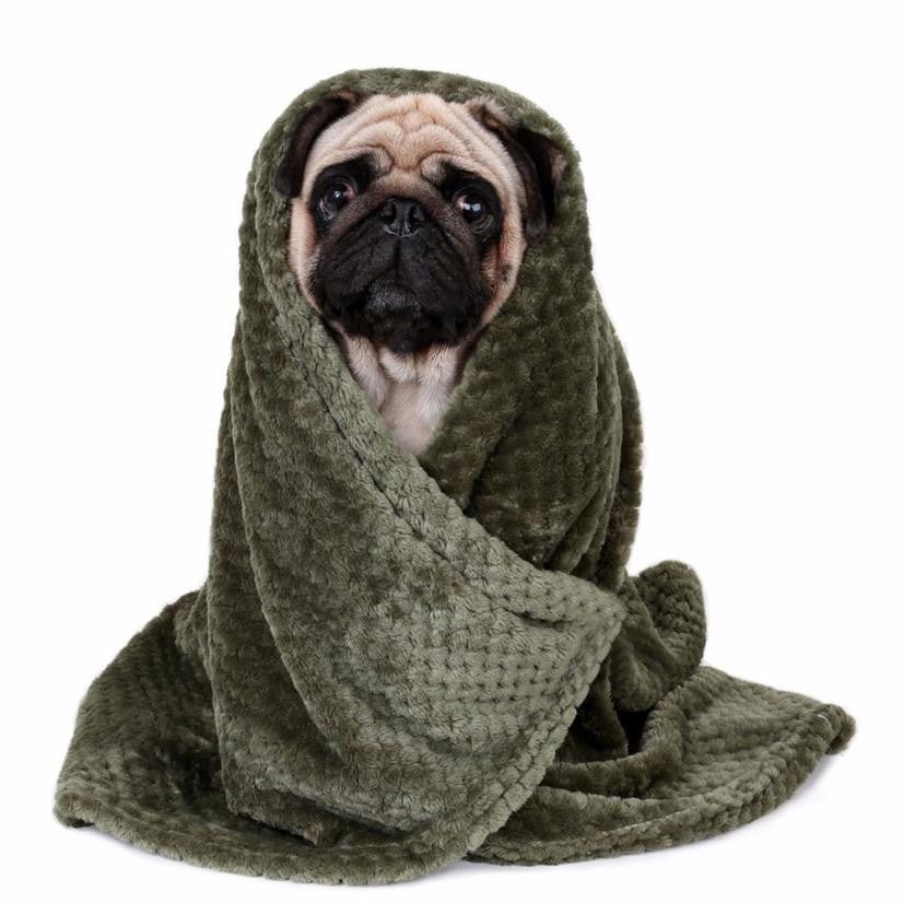 Flannel Blanket