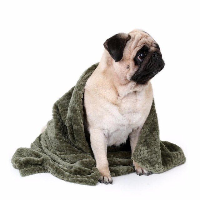 Flannel Blanket