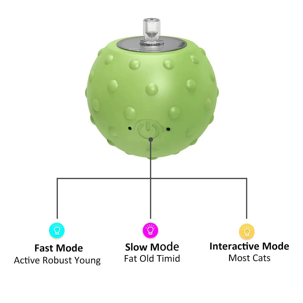 Interactive Motion Activated Ball Toy with Tail Teaser & Bird Chirping Sound