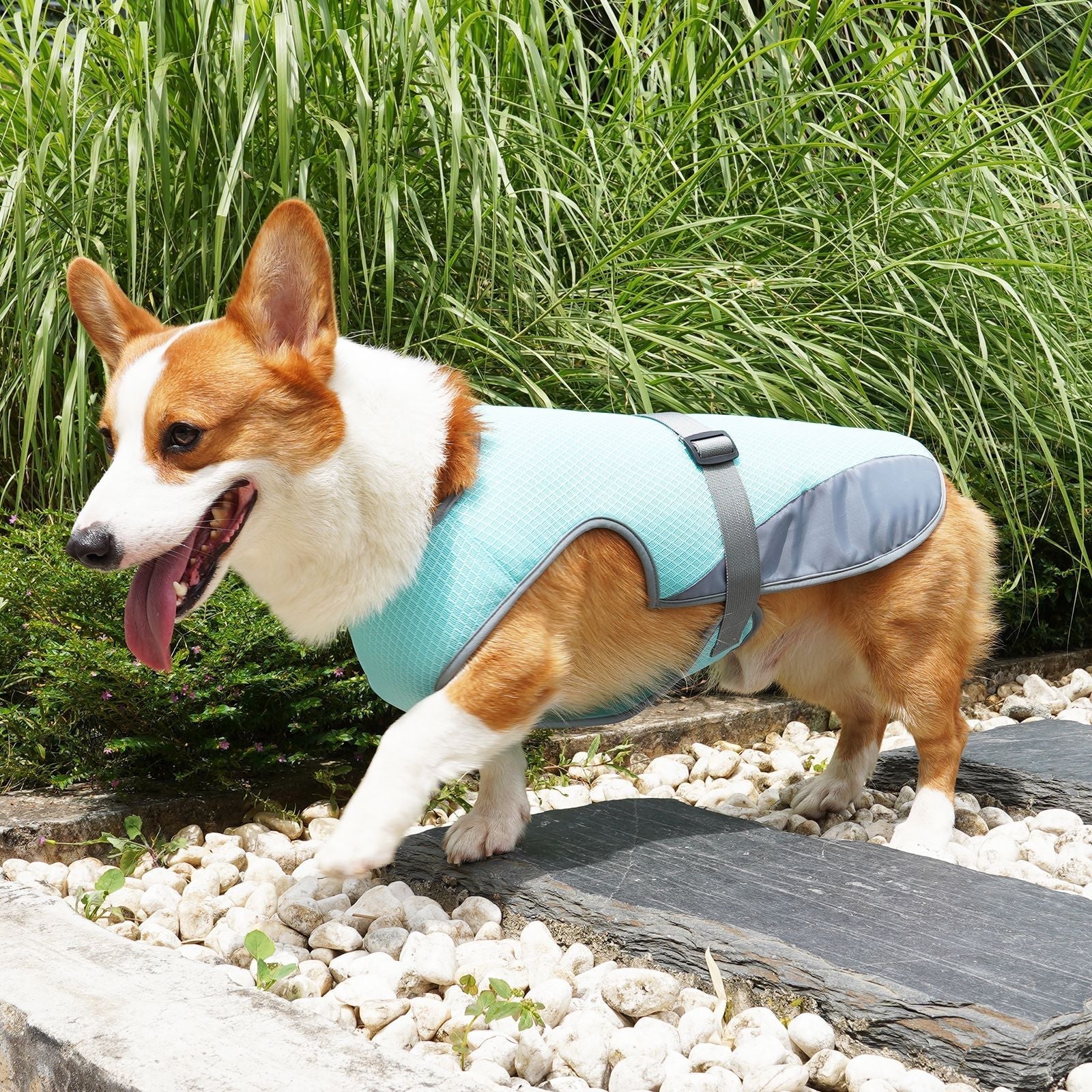Mesh Heat Dissipation Cooling Dog Vest