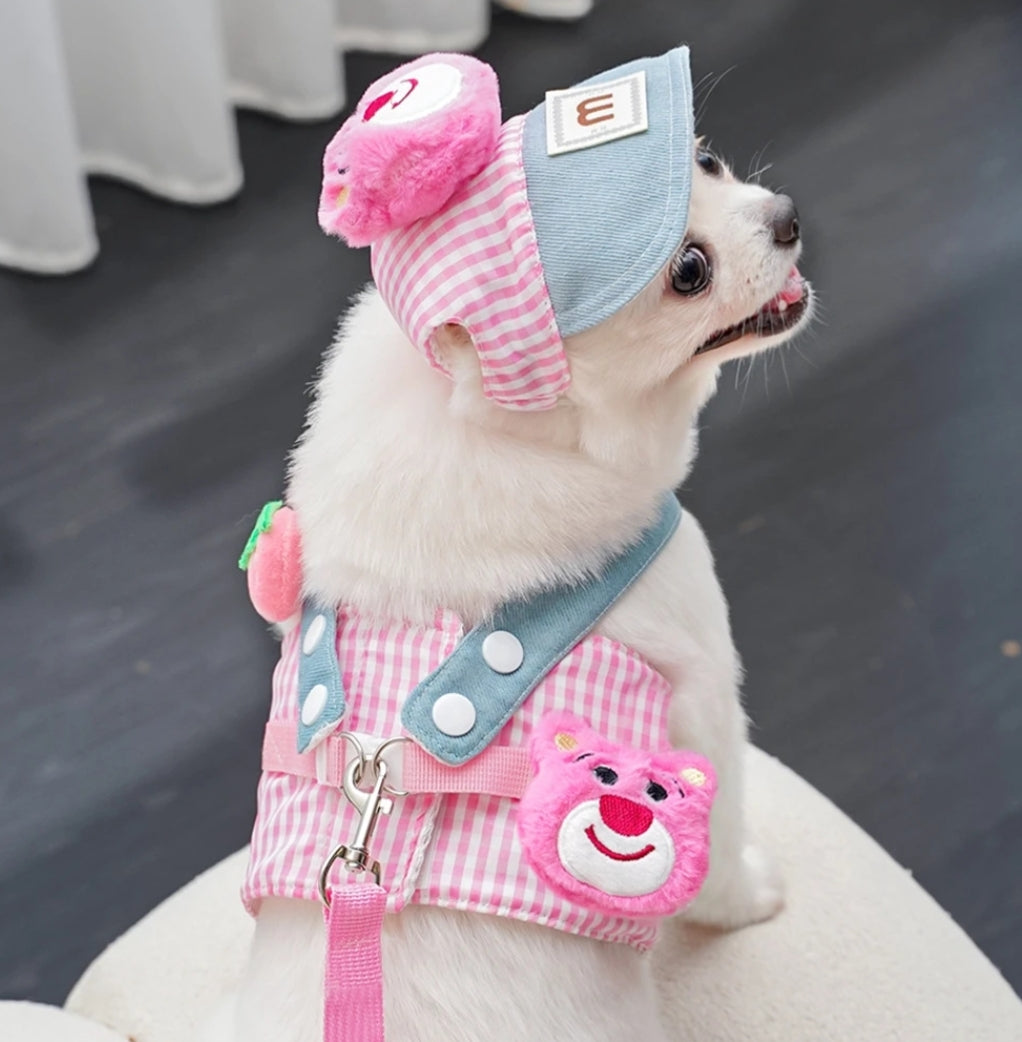 Pet outfit set for dogs, cats, and even ducks—includes hat, harness, and leash for outings