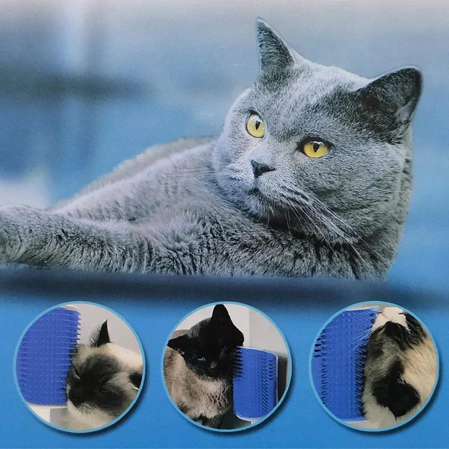 Self grooming corner scratching brush
