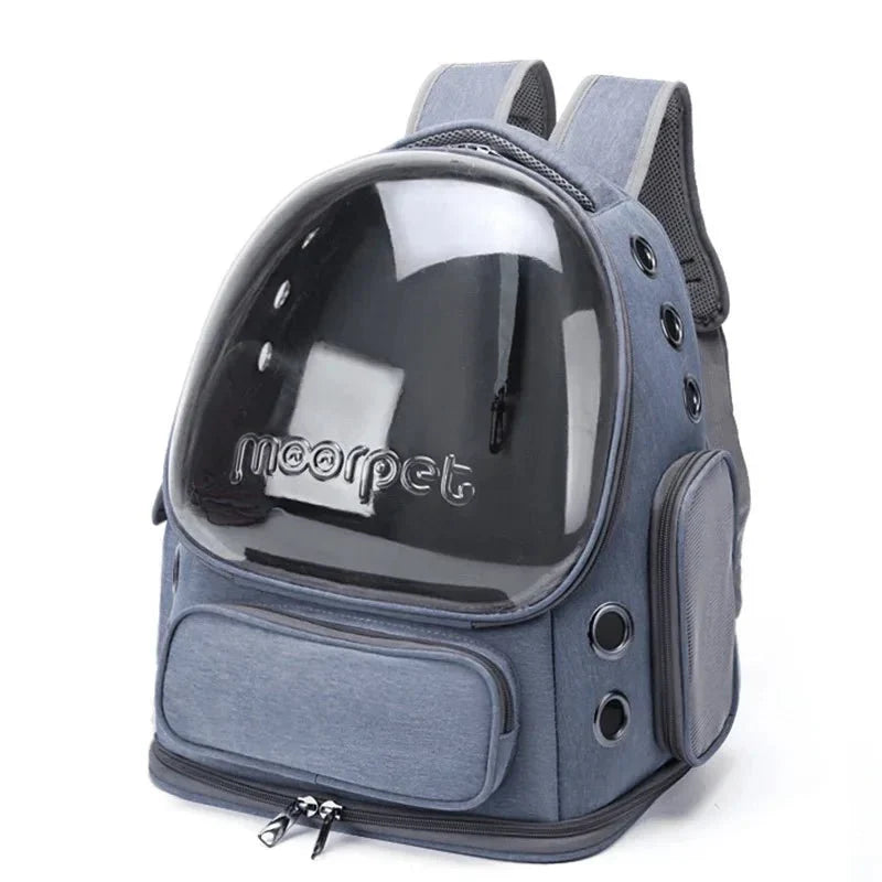 Transparent Cat Carrier