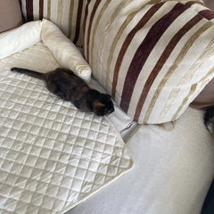 Velvet Quilted Sofa Blanket Bed and Couch Protector