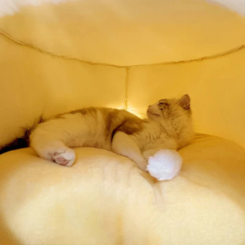Winter Pet House