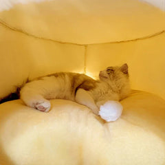 Winter Pet House
